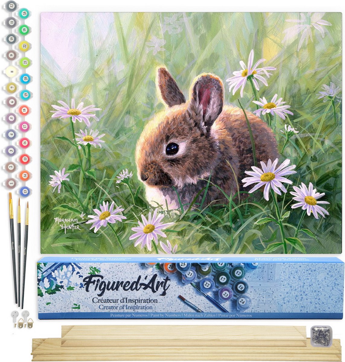 FiguredArt Schilderen op Nummer Volwassenen canvas Konijn en margrieten - Handwerk acrylverf Kit DIY Compleet - 40x50cm met DIY houten lijst